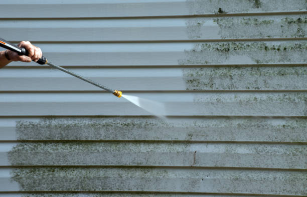 Best Local Pressure Washing Services  in Nanakuli, HI