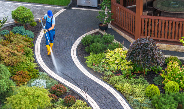 Best Deck Pressure Washing  in Nanakuli, HI